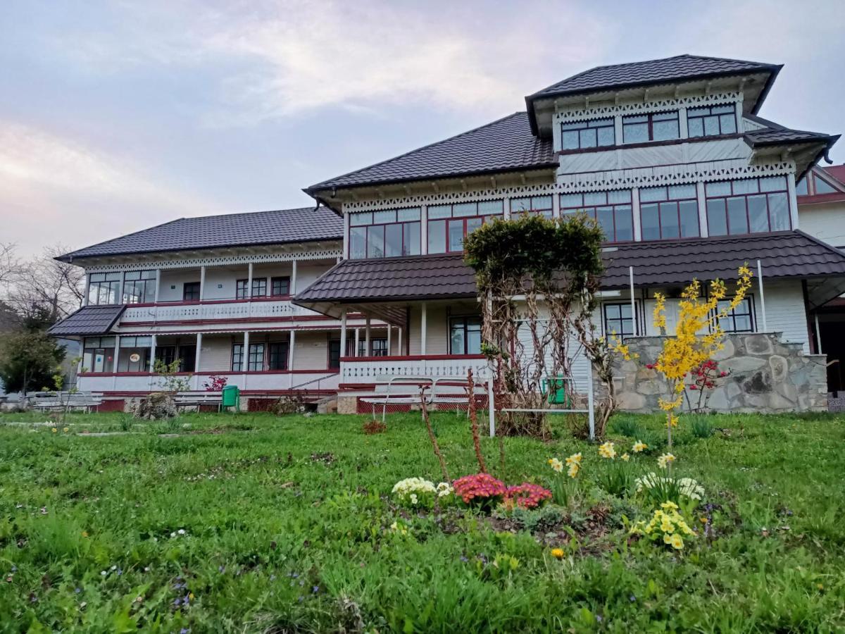 Padurea De Argint Villa Văratec Екстериор снимка